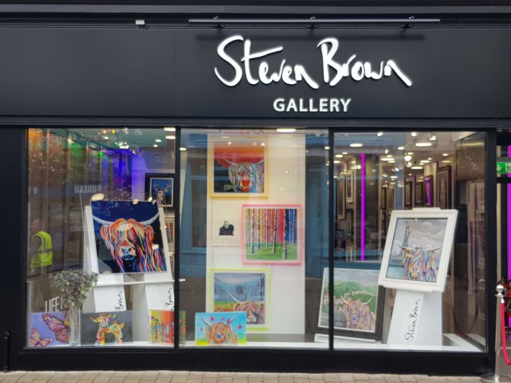 Steven Brown Art Gallery